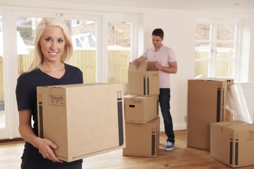 Customer complaint review for a man and van moving service